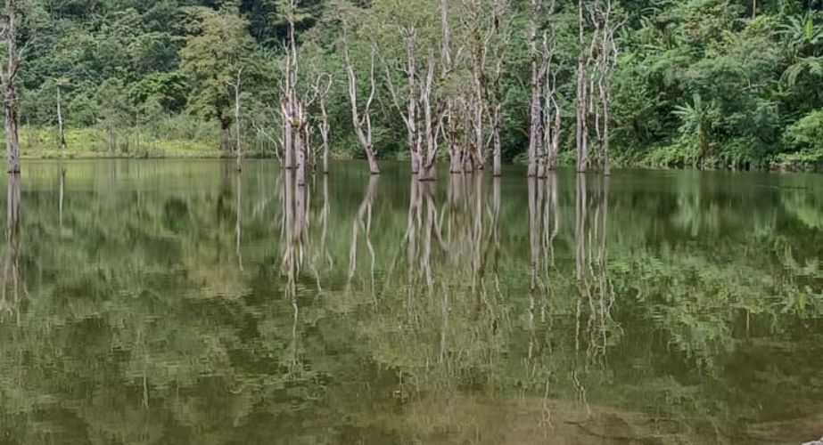 Dumaguete_PH_Lake Balinsasayaw Tour_2026_1